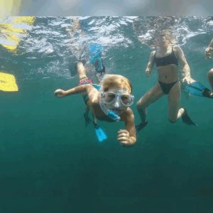 Snorkeling_Thalassia